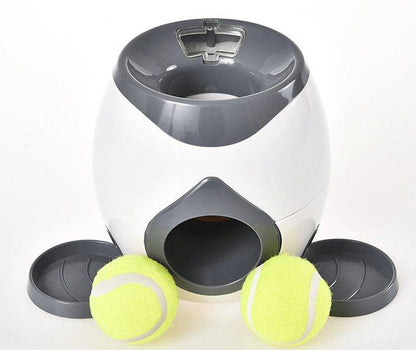 Automatic Pet Training And Feeding System
